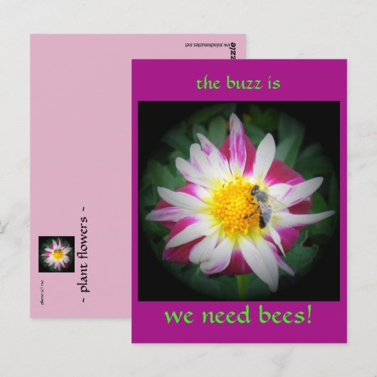 de buzz over bijen briefkaart (Voorkant / Achterkant)