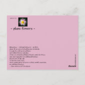 de buzz over bijen briefkaart (Achterkant)