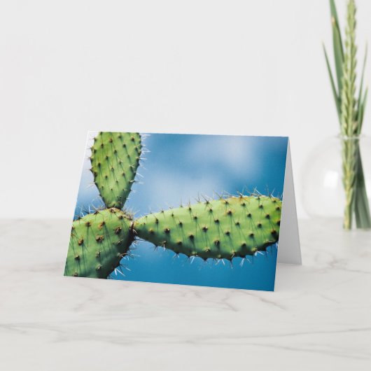 De Cactus van Prickley Kaart (Voorkant)