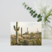De Cactus van Saguaro, Arizona, de V.S. Briefkaart (Staand voorkant)