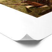 de cactus - vriend van Carl spitzweg Poster (Hoek)