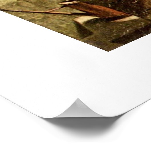 de cactus - vriend van Carl spitzweg Poster (Hoek)