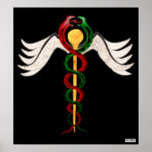 De Caduceus Poster (Voorkant)