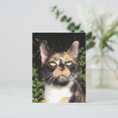 De Calico overslaan Briefkaart (Staand voorkant)