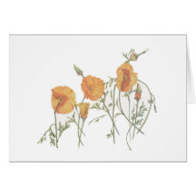De California Poppy 5-inch x 7-inch kaart, met env