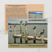 De Californische bruine Pelican - Feestdagenkaart (Voorkant / Achterkant)