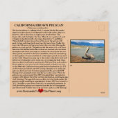 De Californische bruine Pelican - Feestdagenkaart (Achterkant)