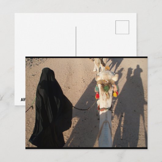 De Camel Walk Briefkaart (Voorkant / Achterkant)