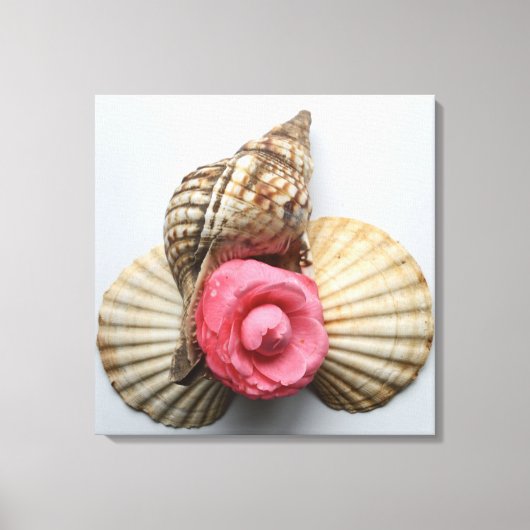 De Camellia en de Shells Canvas Afdruk (Voorkant)