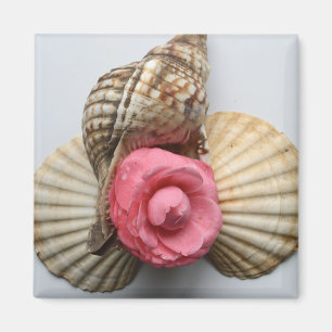 De Camellia en de Shells Magneet