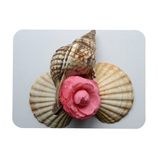 De Camellia en de Shells Magneet (Horizontaal)