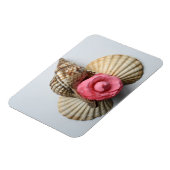 De Camellia en de Shells Magneet (Linkerzijde)