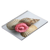 De Camellia en de Shells Notitieboek (Linkerzijde)