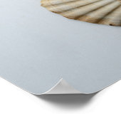 De Camellia en de Shells Poster (Hoek)