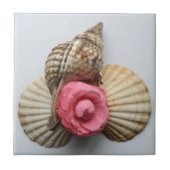 De Camellia en de Shells Tegeltje (Voorkant)