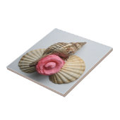 De Camellia en de Shells Tegeltje (Zijkant)