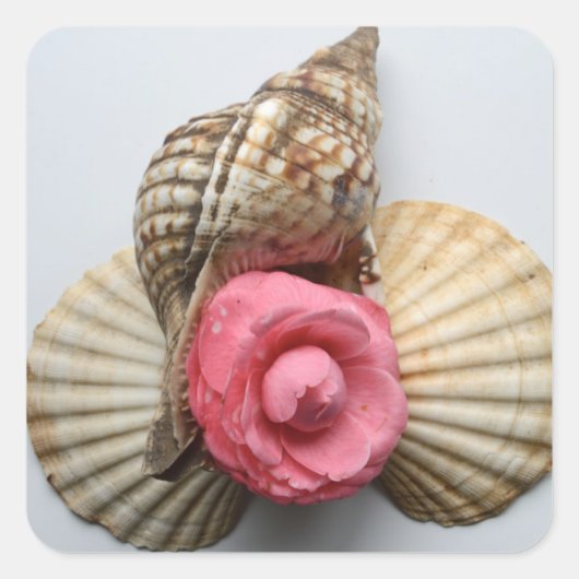 De Camellia en de Shells Vierkante Sticker (Voorkant)