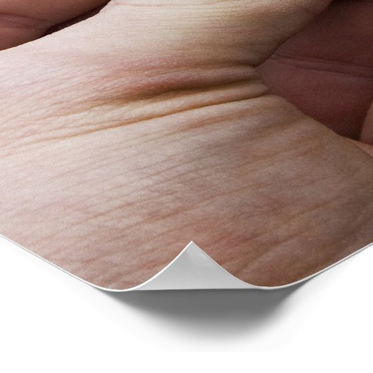 De Camera van het potlood Vs - meer Routine Poster (Hoek)