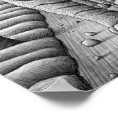 De Camera van Potlood Vs - Tijger, Owl, Man Poster (Hoek)