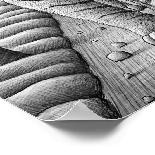 De Camera van Potlood Vs - Tijger, Owl, Man Poster (Hoek)