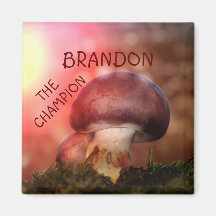 De campion met de champignon