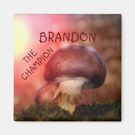 De campion met de champignon magneet (Voorkant)