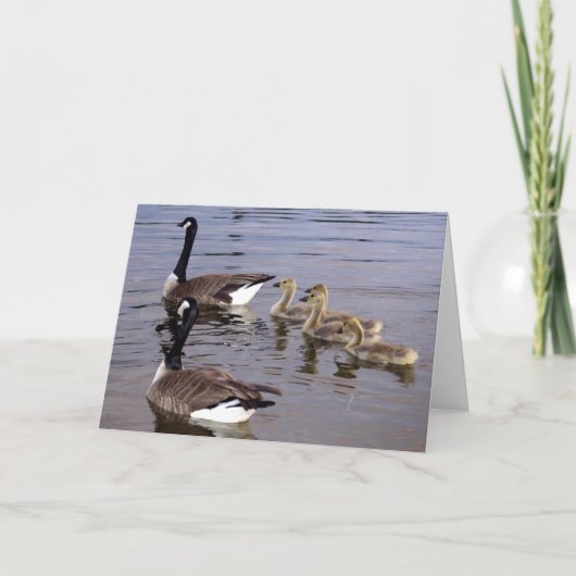 De Canadese Familie van de Gans Kaart (Voorkant)