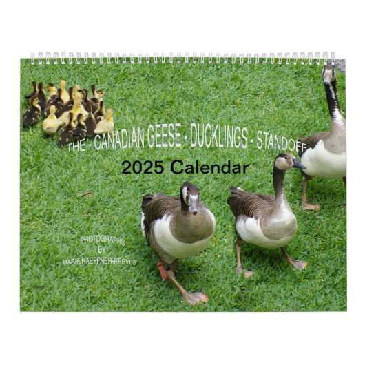 DE *CANADESE GANZEN* - *EENDJES* STAND-FF 2025 KALENDER (Hoes)