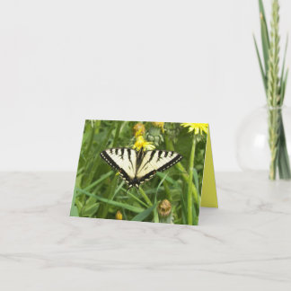De Canadese Vlinder Notecard van Swallowtail van Kaart