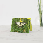 De Canadese Vlinder Notecard van Swallowtail van Kaart (Voorkant)