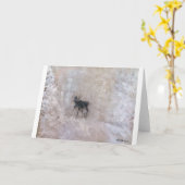 DE CANADESE WINTER, NOORDELIJKE ALBERTA, KAART (Gele Bloem)