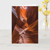 De Canion van de antilope Kaart (Gele Bloem)