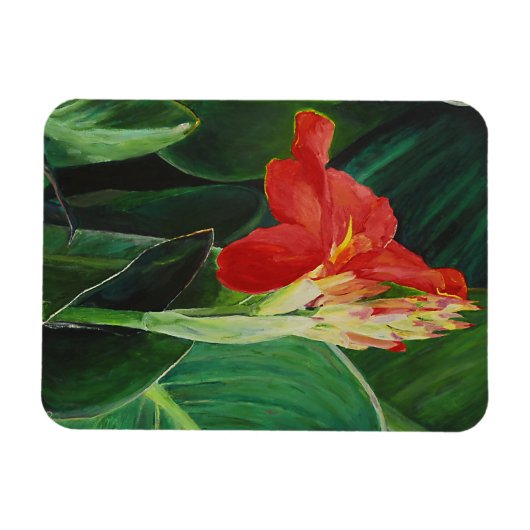 De Canna - Magneet (Horizontaal)