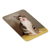 De Can's Open Humorous Tabby Cat Magnet Magneet (Rechterzijde)