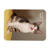 De Can's Open Humorous Tabby Cat Magnet Magneet (Horizontaal)