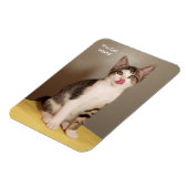 De Can's Open Humorous Tabby Cat Magnet Magneet (Linkerzijde)