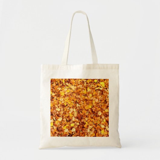 De Canvas tas van de begroting van het najaar verl (Voorkant)