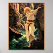 De Canyon Poster (Voorkant)