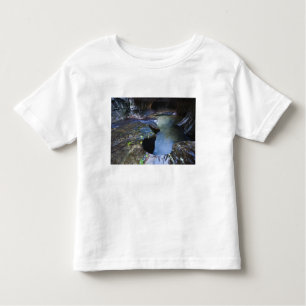 De canyon van de groef van de Subway Kinder Shirts