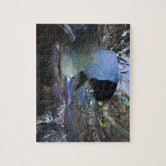 De canyon van de groef van de Subway Legpuzzel (Verticaal)