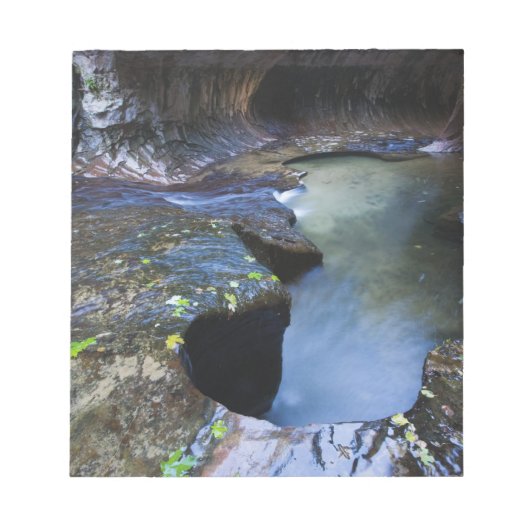 De canyon van de groef van de Subway Notitieblok (Voorkant)