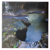 De canyon van de groef van de Subway Tegeltje (Voorkant)