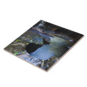 De canyon van de groef van de Subway Tegeltje (Zijkant)