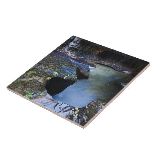 De canyon van de groef van de Subway Tegeltje (Zijkant)