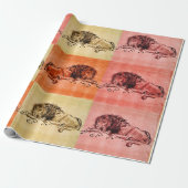 DE CAPE LION LYING DOWN, DOOR Rembrandt Cadeaupapier (Uitgerold)