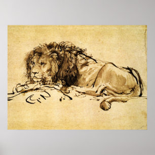DE CAPE LION LYING DOWN, door Rembrandt Sepia, Bla Poster
