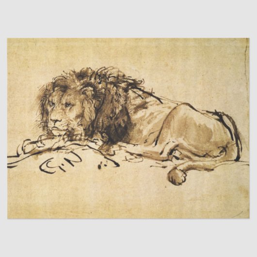 DE CAPE LION LYING DOWN, door Rembrandt Sepia, Bla Tissuepapier (Voorkant)