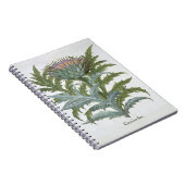 De Cardoon, uit de 'Hortus Eystettensis' van Bas Notitieboek (Rechterzijde)