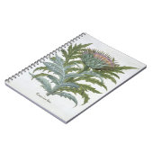 De Cardoon, uit de 'Hortus Eystettensis' van Bas Notitieboek (Linkerzijde)