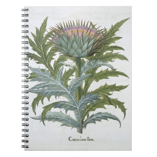 De Cardoon, uit de 'Hortus Eystettensis' van Bas Notitieboek (Voorkant)